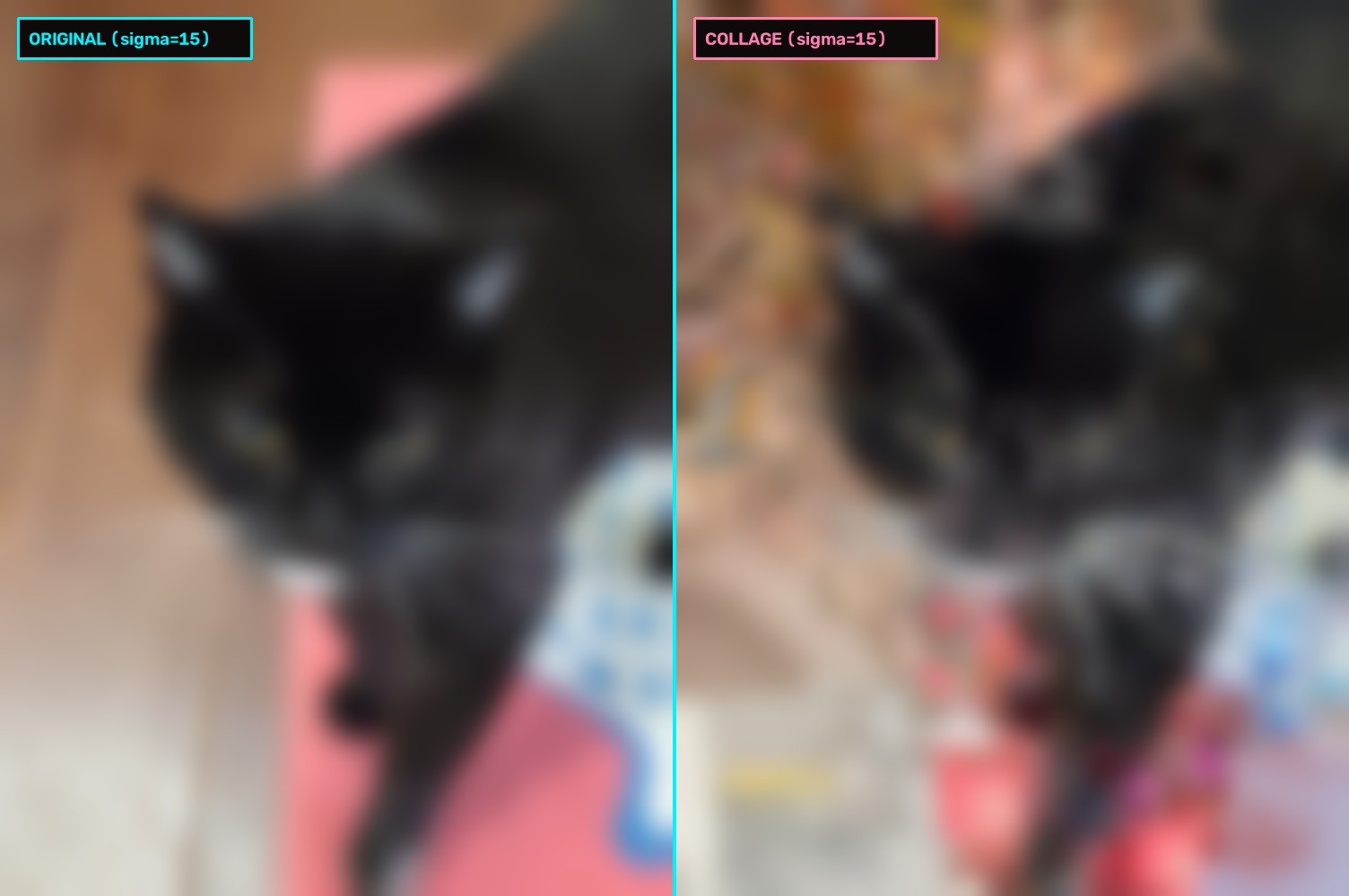 Black Cat Collage